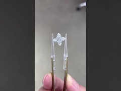 Kim cương làm trong phòng thí nghiệm CVD IGI Tiêu chuẩn Kim cương tổng hợp Bốn lá cây hoa cọ Nhẫn vòng cổ